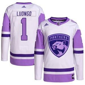 Men's Florida Panthers Roberto Luongo Adidas Authentic Hockey Fights Cancer Primegreen Jersey - White/Purple