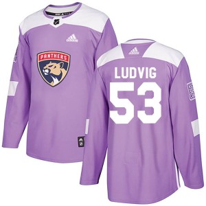 Men's Florida Panthers John Ludvig Adidas Authentic Fights Cancer Practice Jersey - Purple